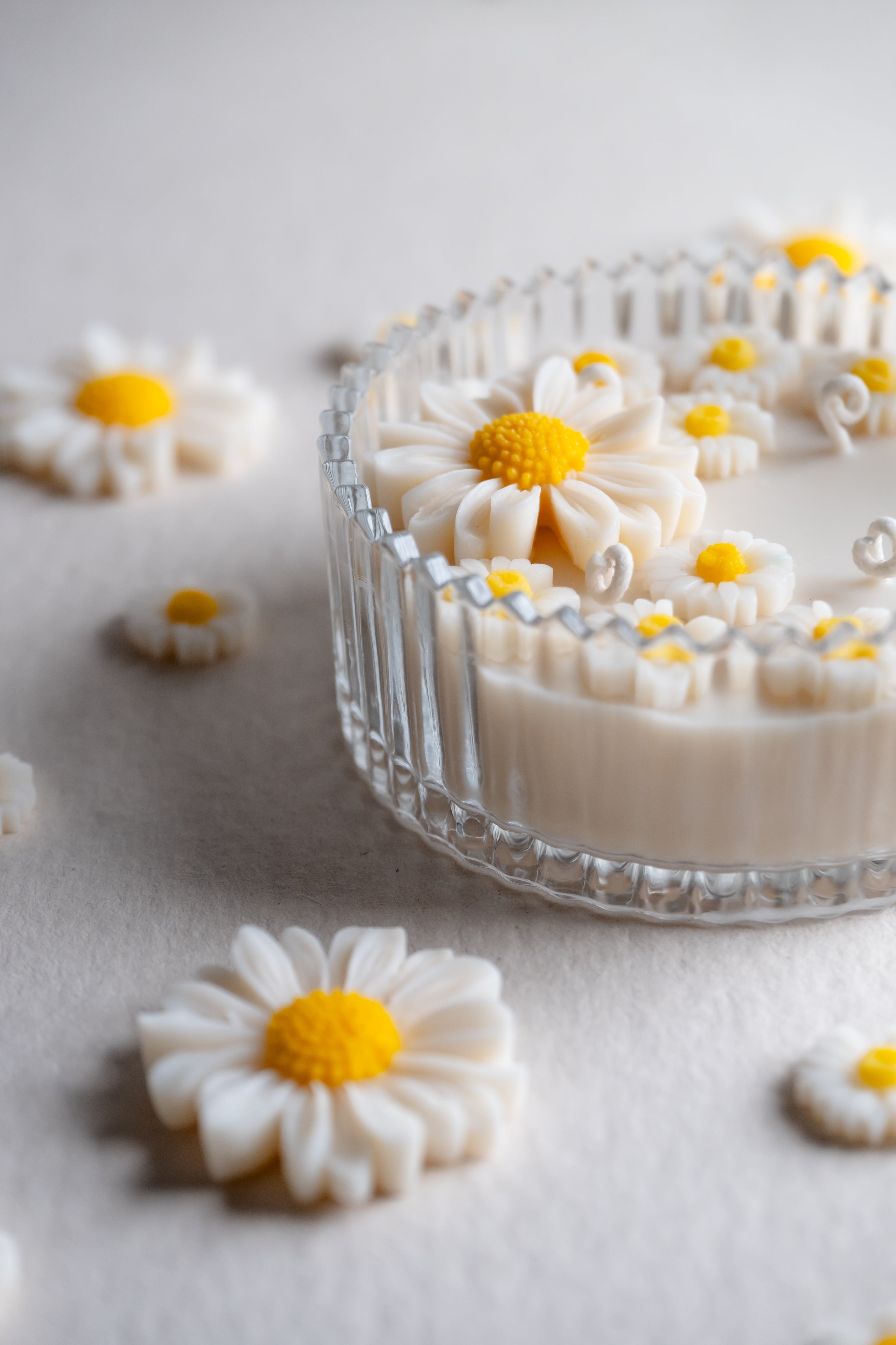 Sunny Daisy Collection