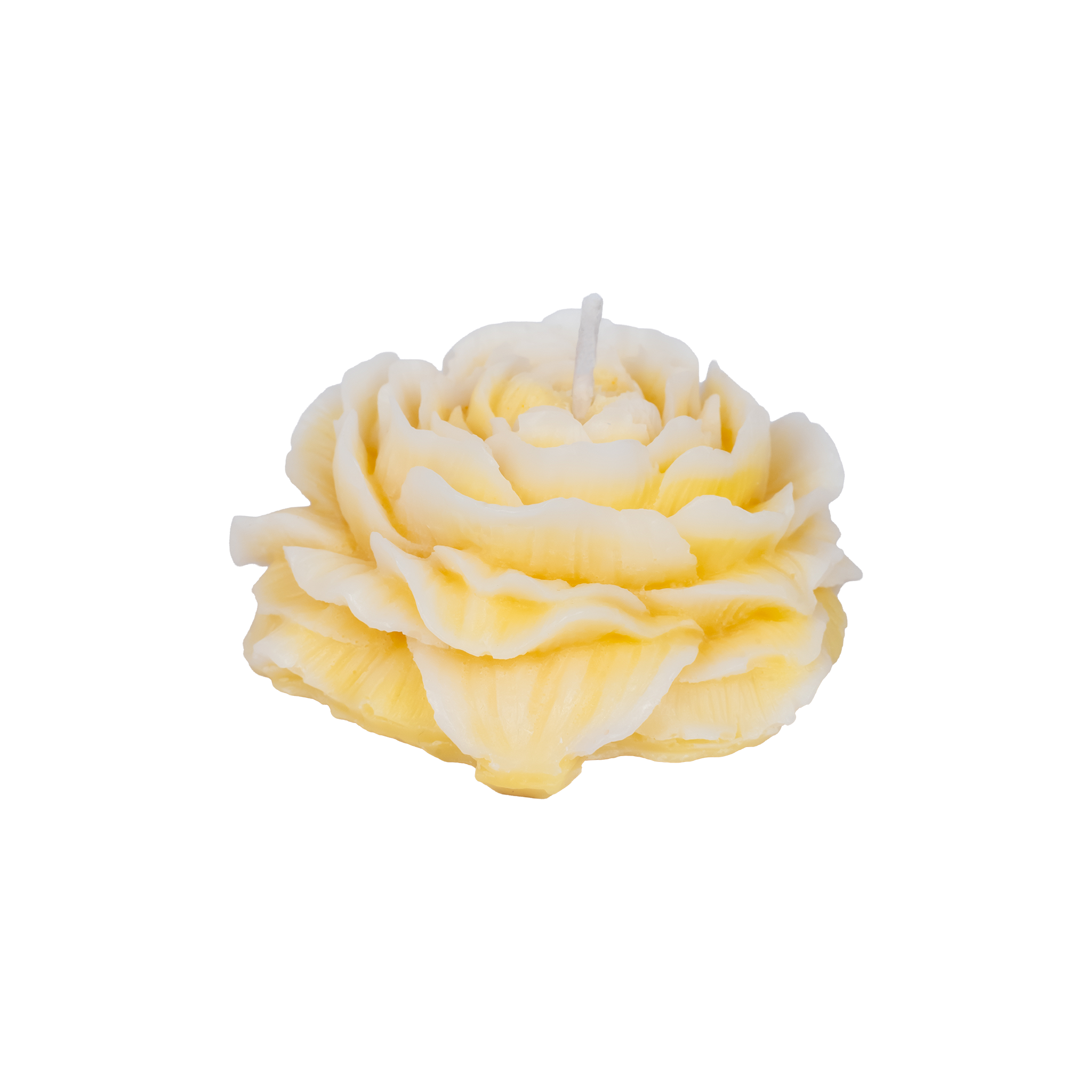 EMBER™ Painter’s Peony Candle | Yellow Orange-Blossom Scented Floral Decorative Candle