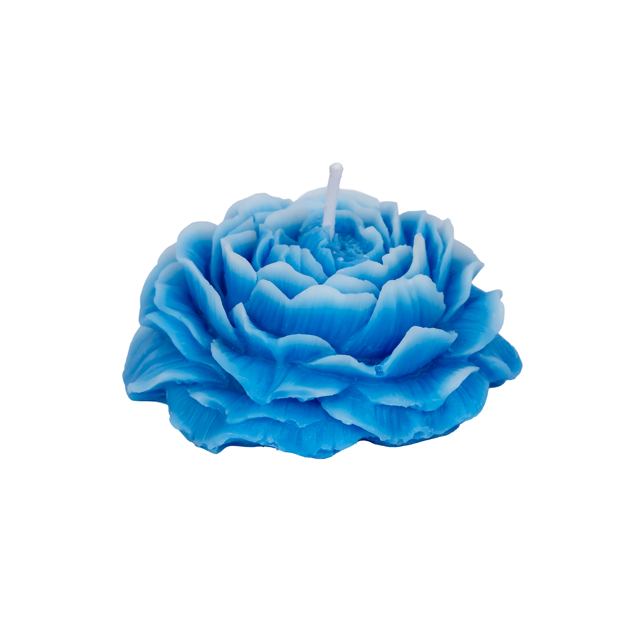 EMBER™ Painter’s Peony Candle – Blue Aquatic Scented Floral Decorative Candle for Home Fragrance & Gifting