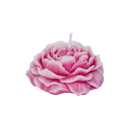 EMBER™ Painter’s Peony Candle | Pink Lotus Scented Floral Decorative Candle