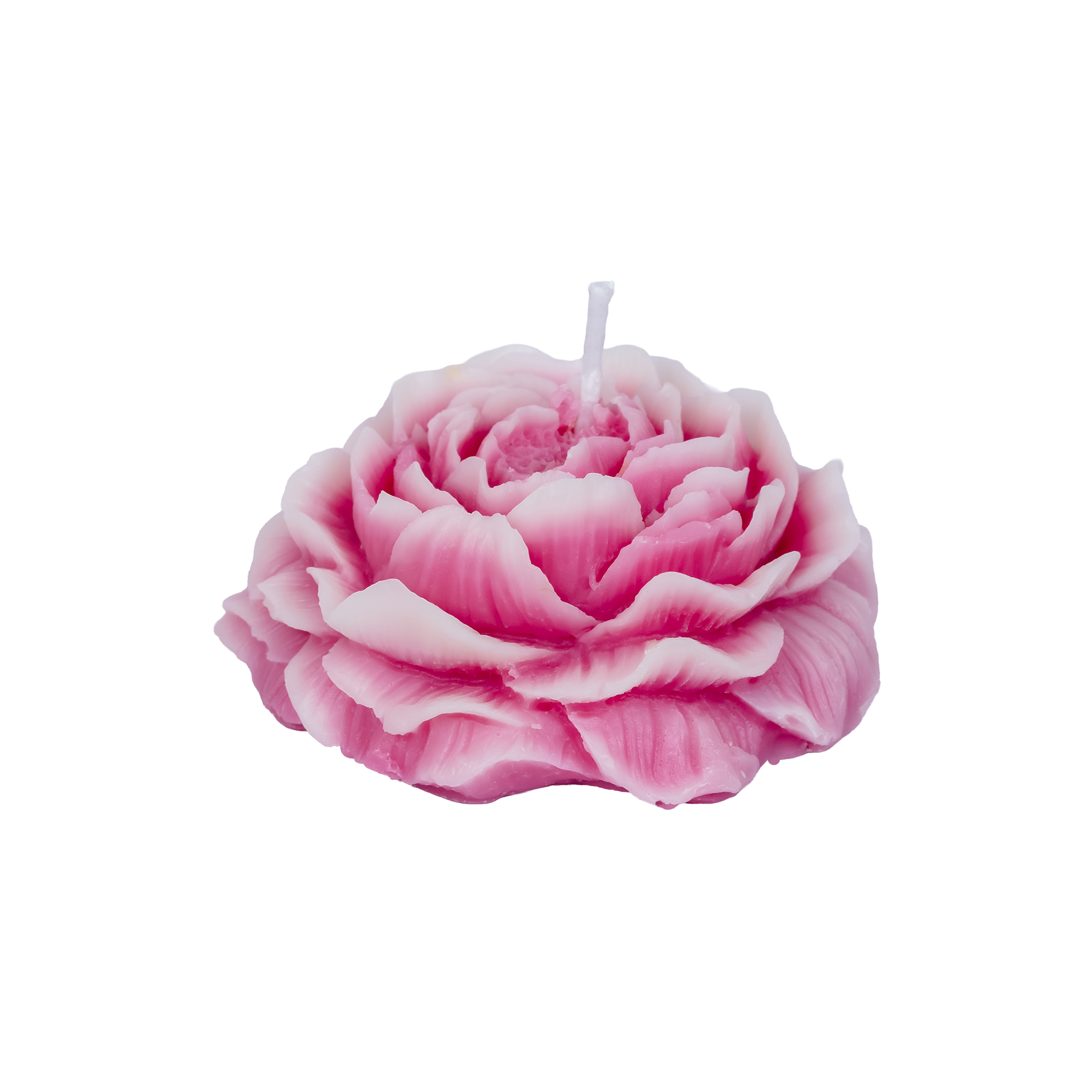 EMBER™ Painter’s Peony Candle | Pink Lotus Scented Floral Decorative Candle