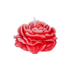 EMBER™ Painter’s Peony Candle | Red Cherry Blossom Scented Floral Decorative Candle