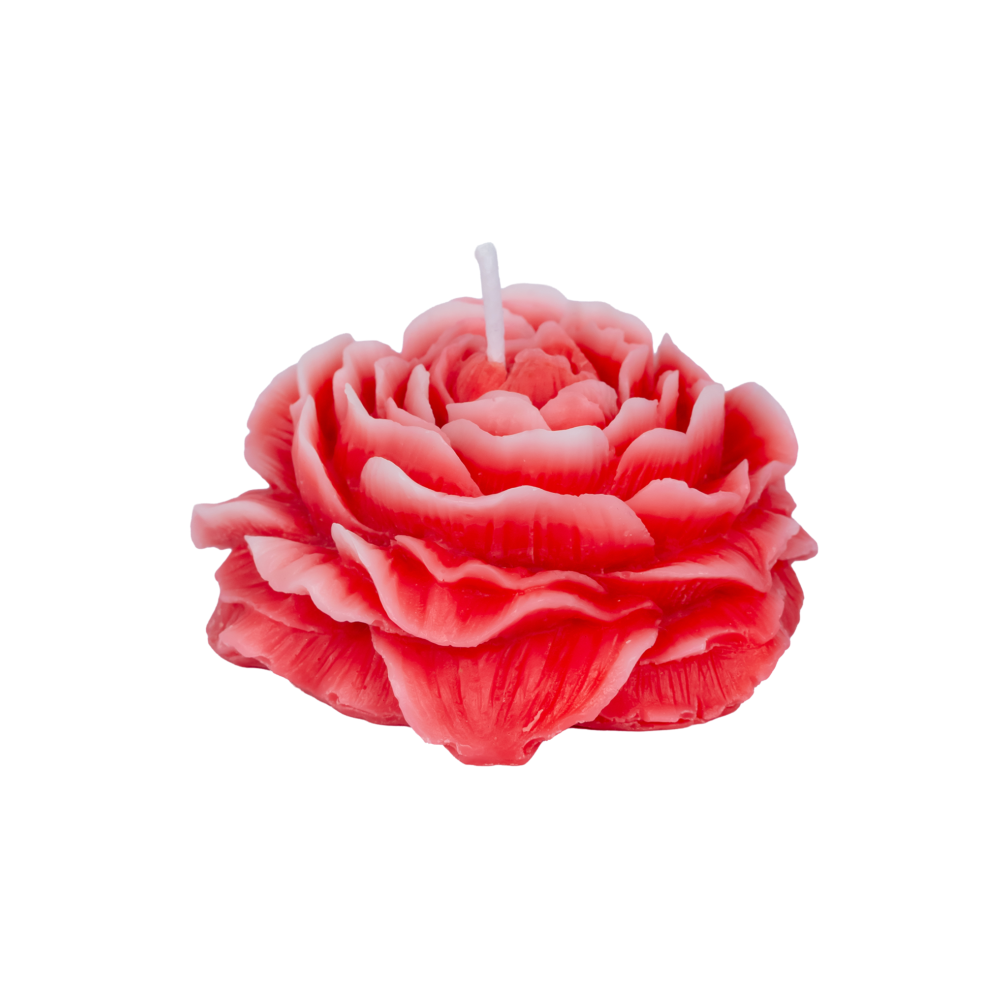 EMBER™ Painter’s Peony Candle | Red Cherry Blossom Scented Floral Decorative Candle