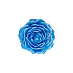 EMBER™ Painter’s Peony Candle – Blue Aquatic Scented Floral Decorative Candle for Home Fragrance & Gifting