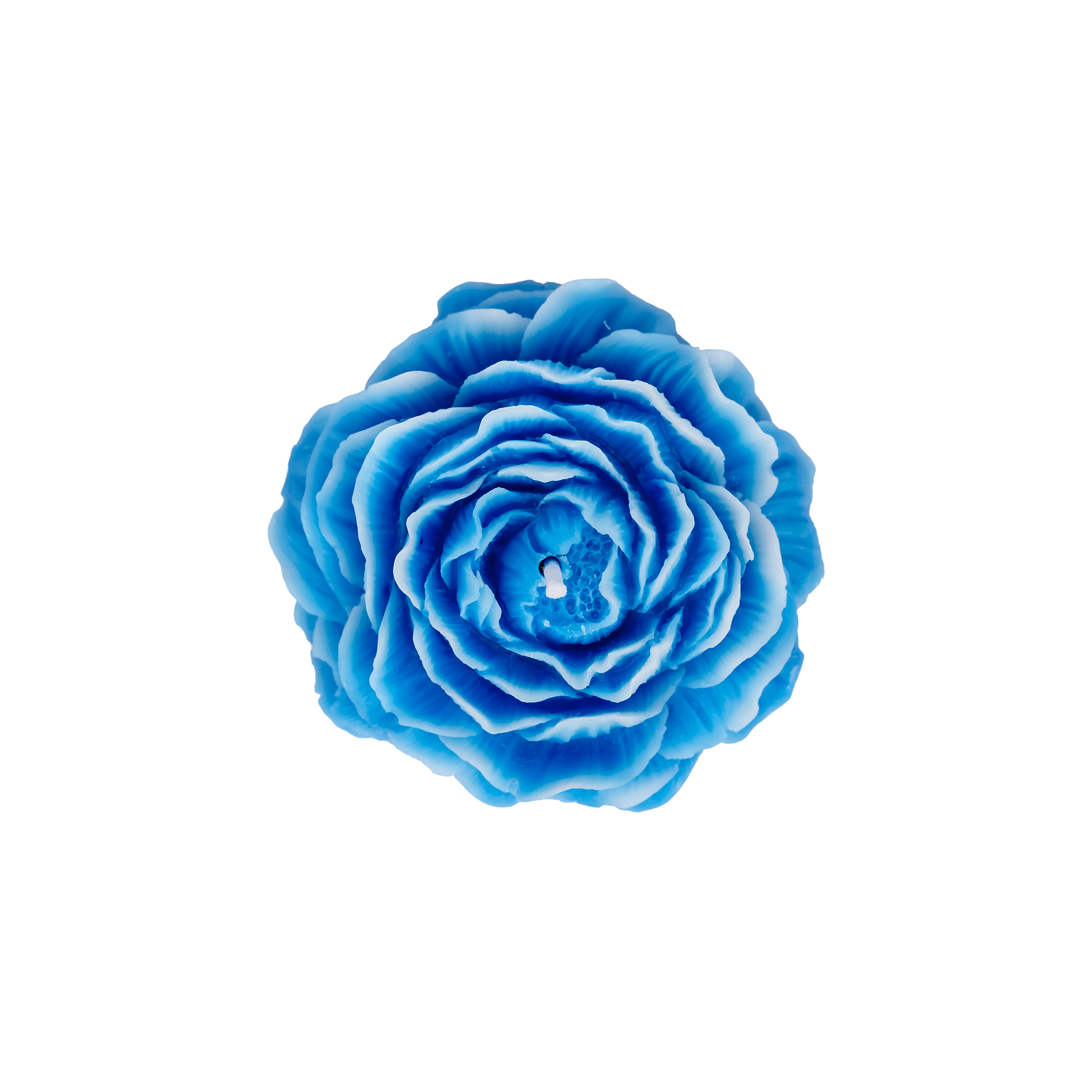 EMBER™ Painter’s Peony Candle – Blue Aquatic Scented Floral Decorative Candle for Home Fragrance & Gifting