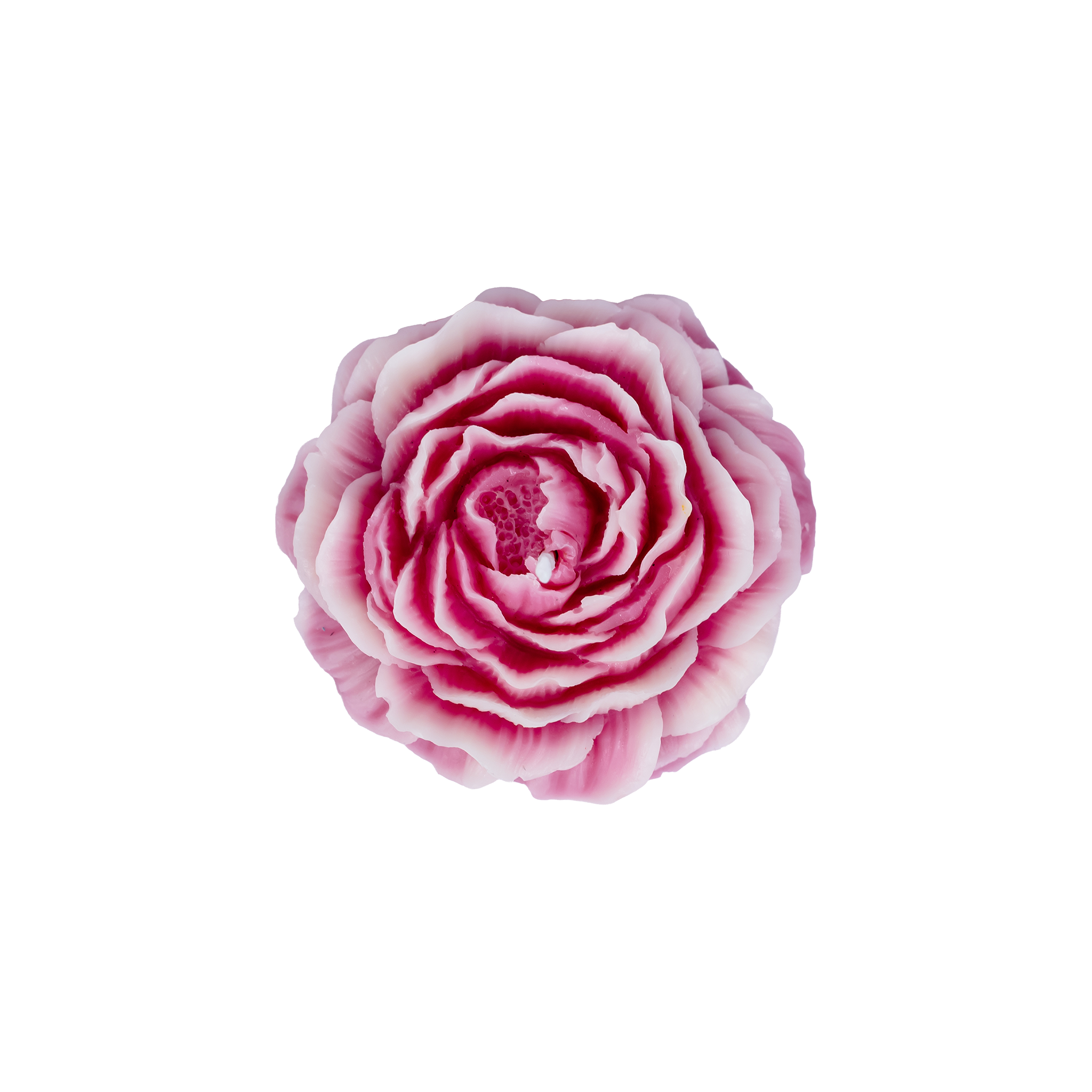 EMBER™ Painter’s Peony Candle | Pink Lotus Scented Floral Decorative Candle