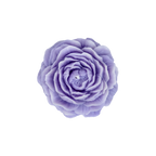 EMBER™ Painter’s Peony Candle – Purple Lavender Scented Floral Decorative Candle