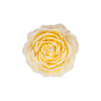 EMBER™ Painter’s Peony Candle | Yellow Orange-Blossom Scented Floral Decorative Candle