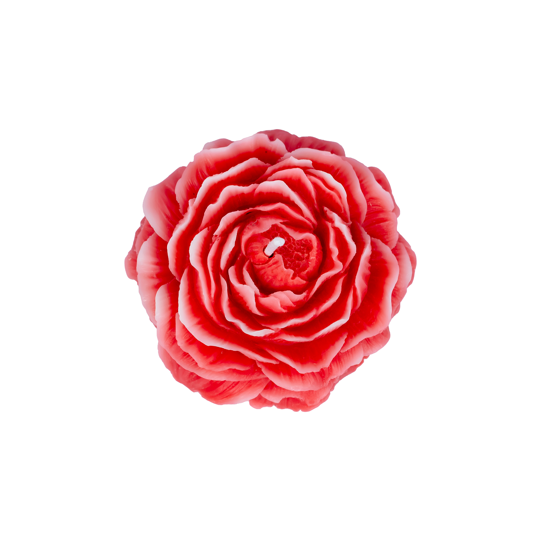 EMBER™ Painter’s Peony Candle | Red Cherry Blossom Scented Floral Decorative Candle