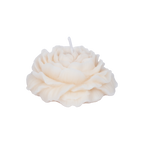 EMBER™ Painter’s Peony Candle – White Jasmine Scented Floral Decorative Candle