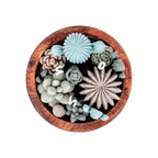 Wick’d Garden Bowl Mint Scented Candle | EMBER™ Wick'd Garden