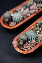 Wick’d Garden Boat Mint Scented Candle | EMBER™ Wick'd Garden